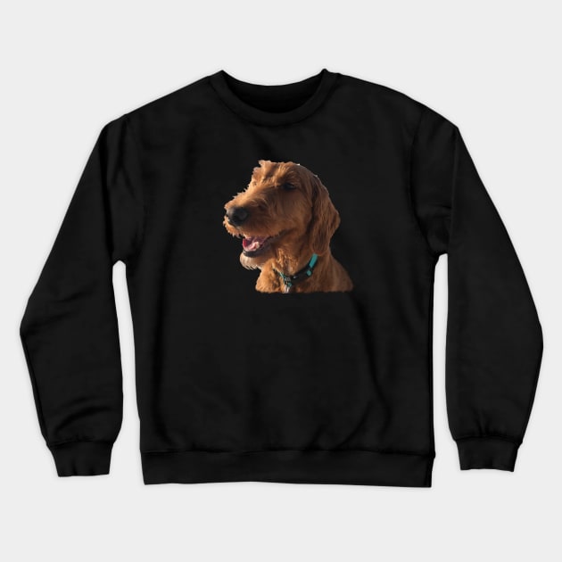 Goldendoodle Smile Crewneck Sweatshirt by AR100AR